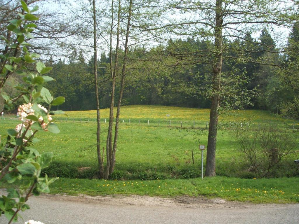 Gasthof & Landhotel Ohrnbachtal Weilbach Kültér fotó