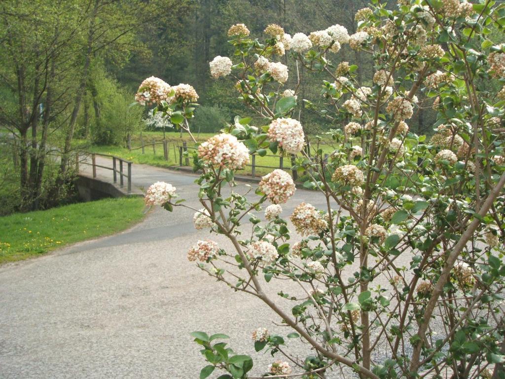 Gasthof & Landhotel Ohrnbachtal Weilbach Kültér fotó